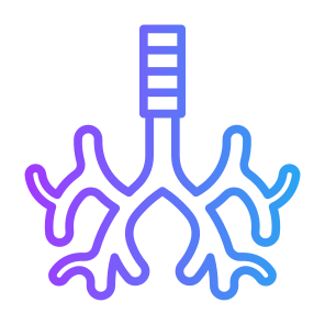 Bronchus, Body Organ, Respiratory System, Trachea, Anatomy icon