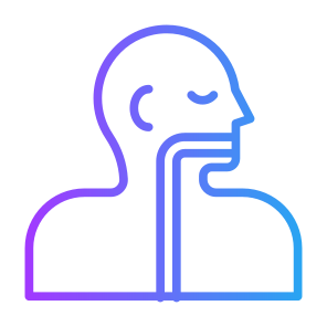 Esophagus, Human Body, Body Parts, Body Organ, Anatomy  icon