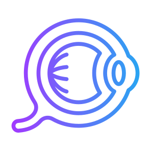 Eyeball, Pupil, Body Parts, Ophthalmology, Retina  icon