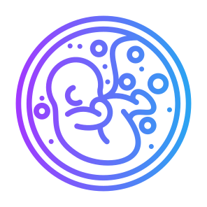 Fetus, Pregnant, Reproduction, Fertility, Pregnancy icon