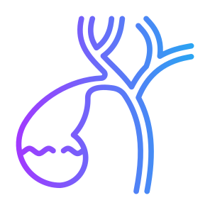 Gallbladder, Body Organ, Anatomy, Digestive System, Bile icon