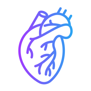 Heart, Organ, Body Parts, Anatomy, Human Body icon