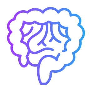 Intestine, Stomach, Bowels, Digestive System, Body Parts icon