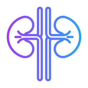 Kidneys, Urology, Human Body, Organ, Anatomy icon