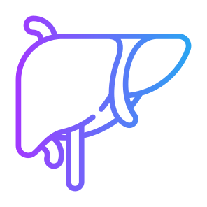 Liver, Organ, Body Organ, Anatomy, Body Part icon