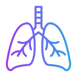 Lungs, Organ, Breath, Anatomy, Healthcare And Medical icon