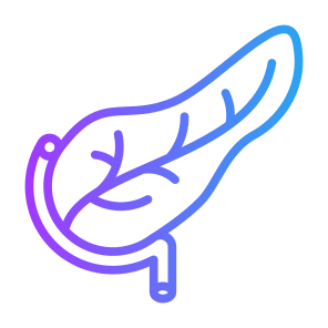 Pancreas, Human Body, Body Organ, Anatomy, Digestive System icon