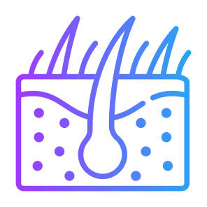 Skin, Hair, Follicle, Epidermis, Dermatology  icon