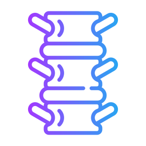 Spine, Bone, Skeleton, Spinal Column, Backbone  icon