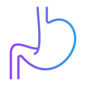 Stomach, Body Parts, Body Organ, Gastroenterology, Digestive System icon