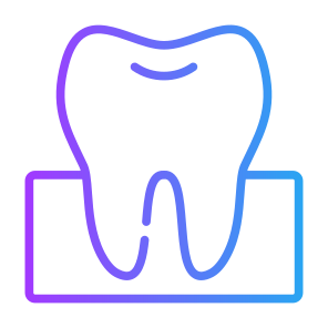 Teeth, Tooth, Dentist, Molar, Premolar icon