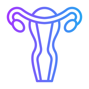 Uterus, Female Organs, Reproductive System, Ovaries, Anatomy icon