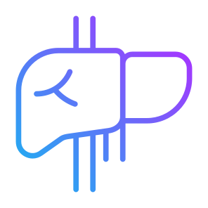Hepatology, Liver, Anatomi, Organs, Body Parts  icon