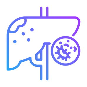 Liver Cancer, Liver, Disease, Cell, Organ icon