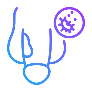 Penile Cancer, Cancer, Penis, Hpv, Cancer Cell icon