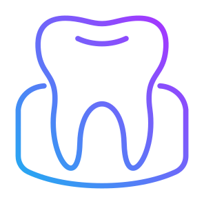 Gum, Anatomy, Dentistry, Enamel, Dental, Tooth  icon