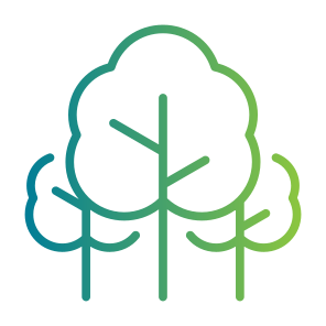 Trees, Forest, Landscape, Woodland, Woods, Ecology And Environment, Pines icon