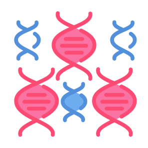 Dna, Biology, Dna Structure, Science, Genetical, Deoxyribonucleic Acid, Healthcare, Medical, Education icon