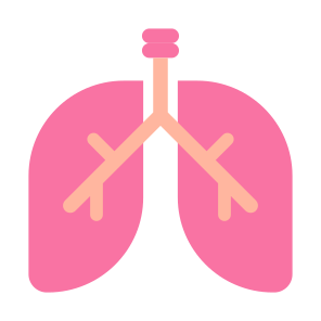 Lung, Body Part, Organ, Human Body, Respiratory System  icon