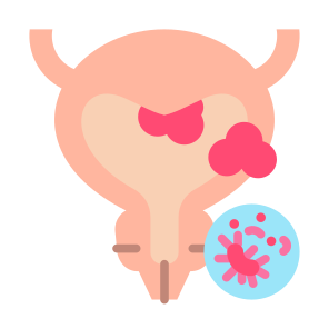 Bladder Cancer, Urology, Prostate Cancer, Bladder, Cancer Cell icon