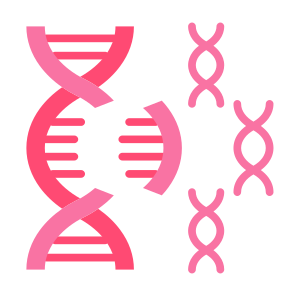 Genetic Mutation, Gene, Mutation, Genetical, Gene Mutation  icon