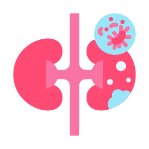 Kidney Cancer, Kidney, Illness, Tumor, Cancer Cell icon