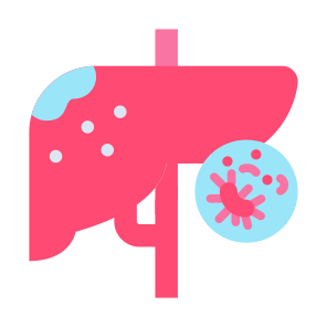 Liver Cancer, Liver, Disease, Cell, Organ icon