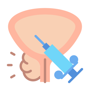 Prostate Biopsy, Organ, Prostate, Cancer, Injection  icon