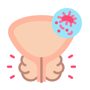 Prostate Cancer, Prostate, Organ, Illness, Cancer Cell icon