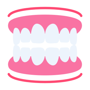 Dentures, Gum, Teeth, Tooth, Dental, Dental Care  icon