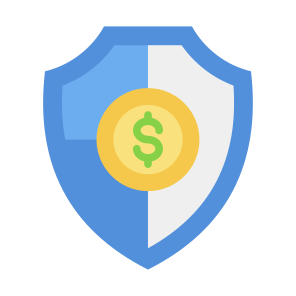 Insurance, Secure Payment, Safety, Security, Shield, Money  icon