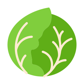 Cabbage, Vegetable, Vegetarian, Healthy Food, Food And Restaurant icon