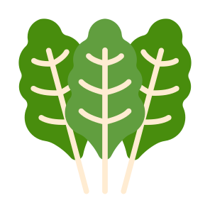 Chard, Vegetable, Vegetarian, Healthy Food, Food And Restaurant icon