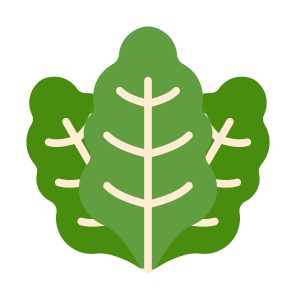 Kale, Vegetable, Vegetarian, Healthy Food, Food And Restaurant icon