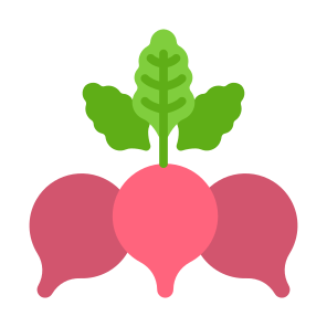 Radish, Vegetable, Vegetarian, Food, Food And Restaurant icon