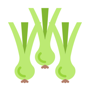 Spring Onion, Vegetable, Vegetarian, Healthy Food, Food And Restaurant icon