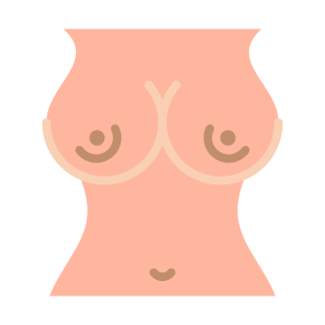 Breast, Woman, Human Body, Body Parts, Plastic Surgery  icon