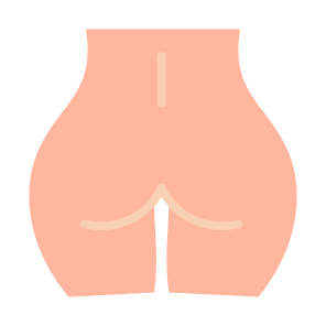 Buttocks, Female, Butt, Ass, Booty  icon