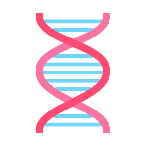Dna, Genetical, Science, Biology, Dna Structure icon