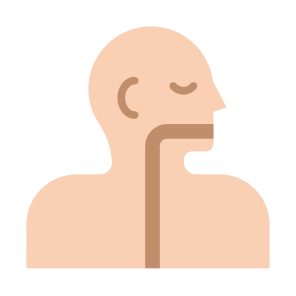 Esophagus, Human Body, Body Parts, Body Organ, Anatomy  icon