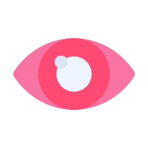 Eye, Body Parts, Anatomy, Ophthalmology, Optical  icon