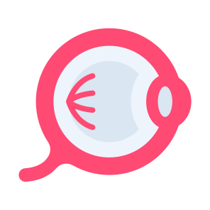 Eyeball, Pupil, Body Parts, Ophthalmology, Retina  icon