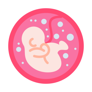 Fetus, Pregnant, Reproduction, Fertility, Pregnancy icon