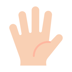 Hand, Body Parts, Open Hands, Five Fingers, Hand Palm icon