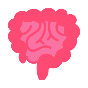 Intestine, Stomach, Bowels, Digestive System, Body Parts icon