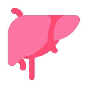 Liver, Organ, Body Organ, Anatomy, Body Part icon