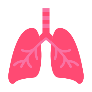 Lungs, Organ, Breath, Anatomy, Healthcare And Medical icon
