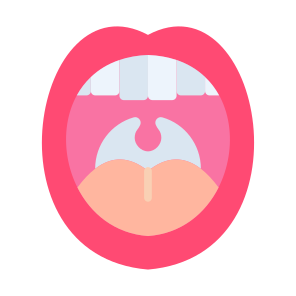 Mouth, Teeth, Tongue, Body Parts, Anatomy icon