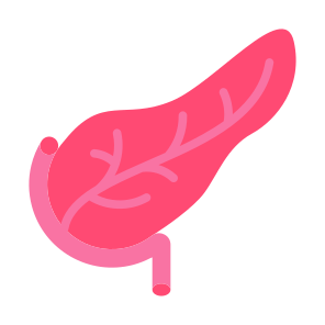 Pancreas, Human Body, Body Organ, Anatomy, Digestive System icon