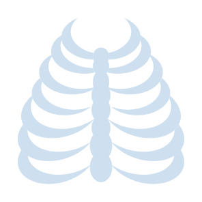 Rib Cage, Bones, Body Part, Skeleton, Human Body  icon